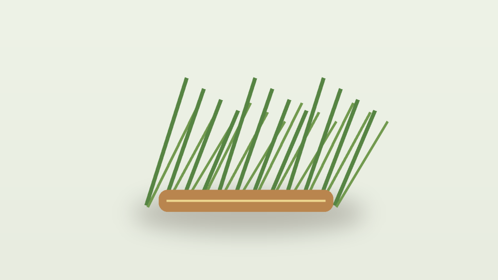 Darbha grass arranged simply for a sacred ritual setting