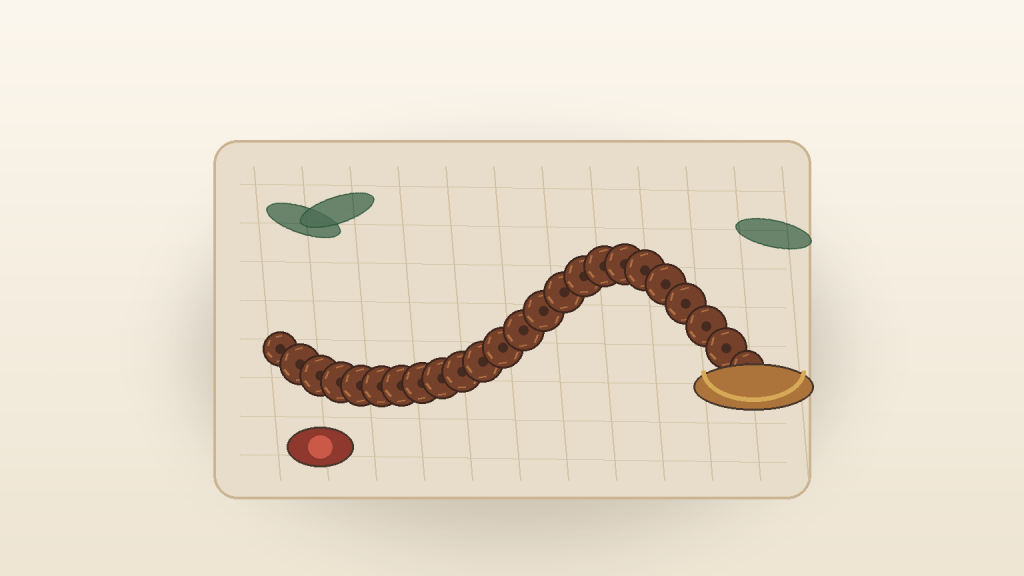 Rudrakshi beads arranged on a simple ritual cloth
